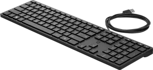 HP laidinė stalinio kompiuterio 320K klaviatūra, pilno dydžio (100 %), USB, juoda