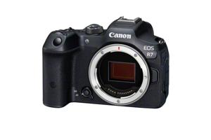 Canon EOS R7, 32.5 MP, 6960 x 4640 pixels, CMOS, 4K Ultra HD, 530 g, Black