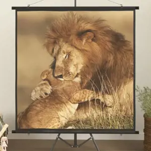Projektoriaus ekranas, 57", 1:1
