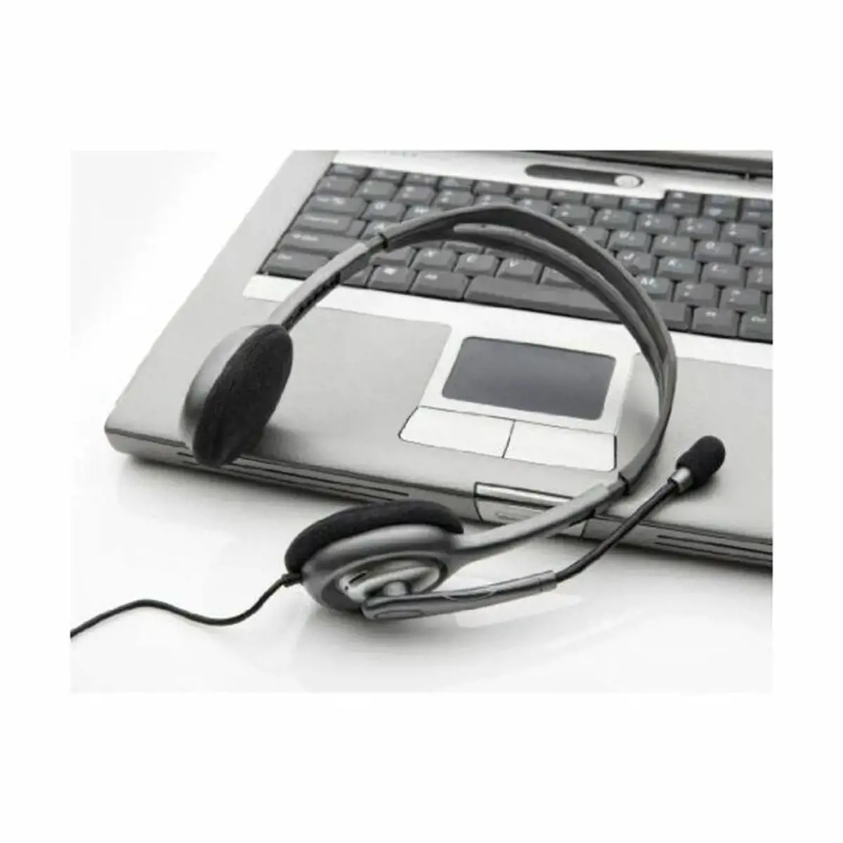 "Logitech H110" ausinės, Laidinės, Biuro / skambučių centras, 20 - 20000 Hz, 74 g, Ausinės, juodos, sidabrinės