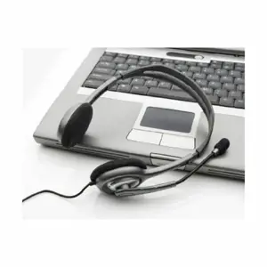 "Logitech H110" ausinės, Laidinės, Biuro / skambučių centras, 20 - 20000 Hz, 74 g, Ausinės, juodos, sidabrinės