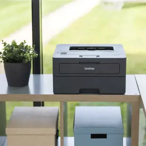 Brother HL L2445DW