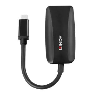 "Lindy" C tipo USB-DP 1.4 keitiklis, 0,13 m, C tipo USB, DisplayPort, vyriškas, moteriškas, tiesus