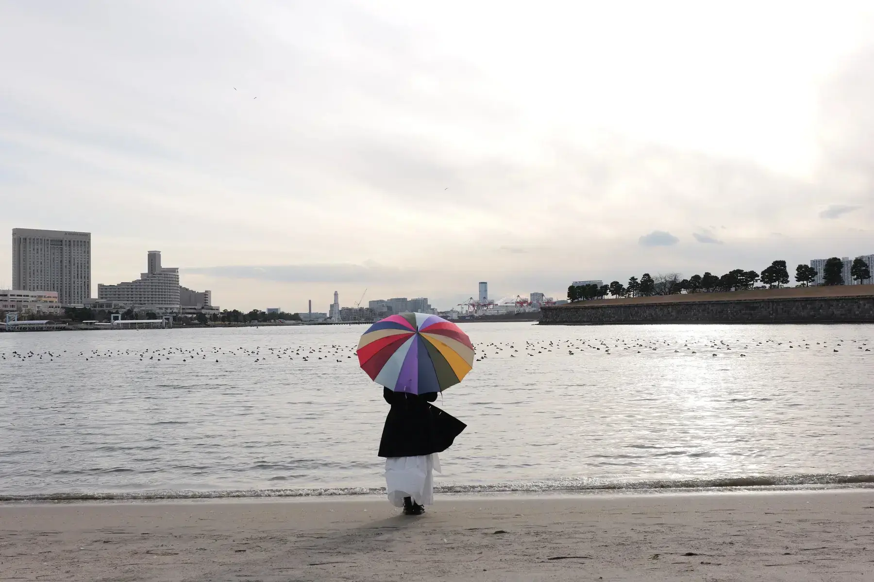 Panasonic Lumix DC-S1 II E body