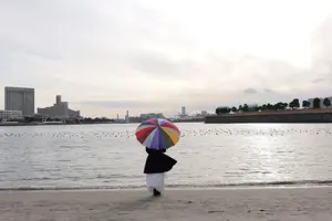 Panasonic Lumix DC-S1 II E body