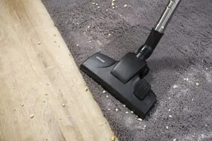 Concept VP5151 Furious Animal bagless vacuum cleaner