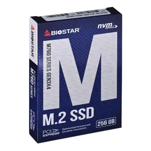 SSD diskas BIOSTAR SA122PME36 256 GB, M.2, PCIe Gen3x4