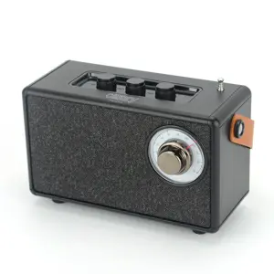 Camry | Speaker with radio | CR 1902 B | Black | Wireless connection