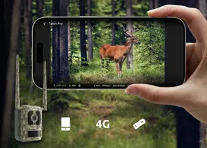 Reolink Camovue Talon S130 4G LTE Trail Camera | Reolink