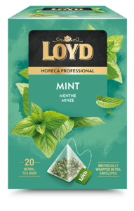 Žolelių arbatos gėrimas LOYD HORECA mėtų skonio piramidė, 20 x 2g