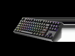 "Genesis" mechaninė žaidimų klaviatūra THOR 404 TKL RGB mechaninė žaidimų klaviatūra Laidinė JAV Gateron Yellow Pro USB Type-A 1005 g