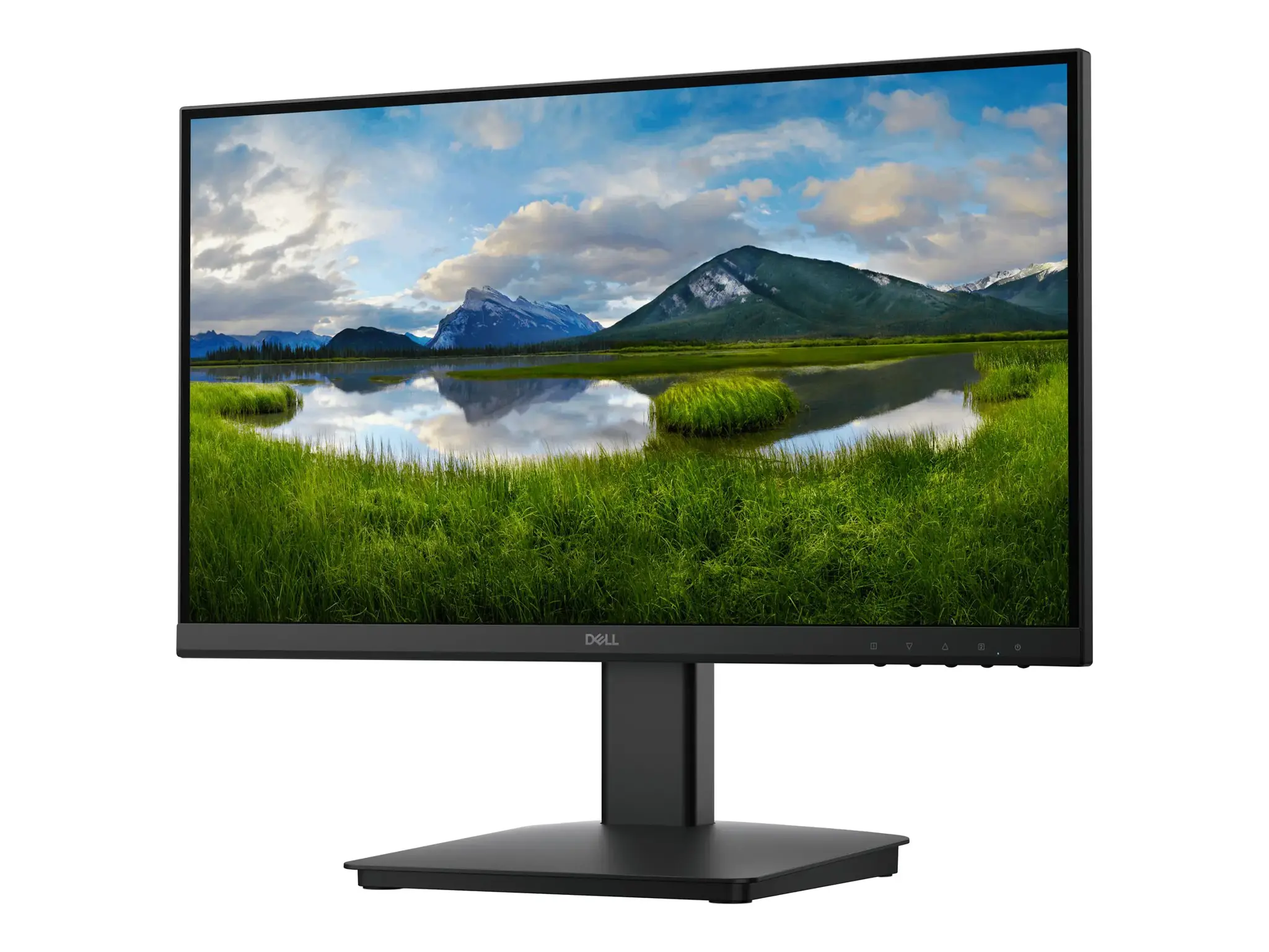 Dell 22 Monitor - SE2225HM