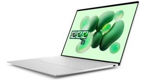 Nešiojamas kompiuteris Dell XPS 13 9345, X1E-80-100, 512 GB, 13,4 Coliai, Windows 11 Pro