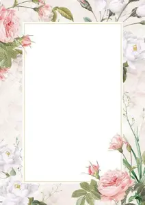 Popierius diplomams A4 170g 25l BELLA