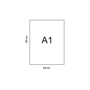 Vatmanas baltas A1/250g 64x90 1 lapas