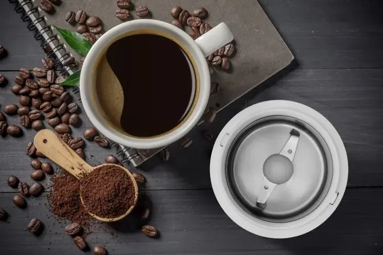 Kavamalė CONCEPT KM6000