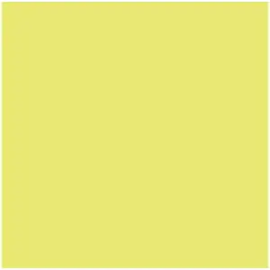 Kortelė Iris Kiwi 50 x 65 cm (25 vnt.)