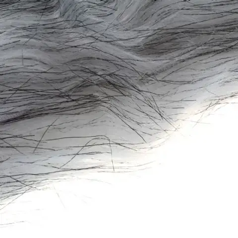 Boya apsauga nuo vėjo BY-B04