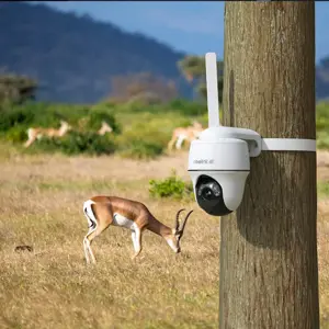 Reolink Go Series G440, IP security camera, Indoor & outdoor, Wireless, Google Assistant, 6500 K, Wall