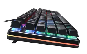 Acer Predator Aethon 303, Full-size (100%), USB, Mechanical, QWERTY, Black