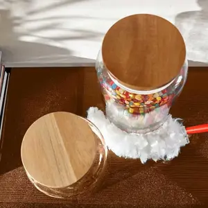 Vileda dustpan with short handle + 2 Flex&Catch refills