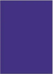 Spalvotas kartonas A2/160g tams.mėlynas