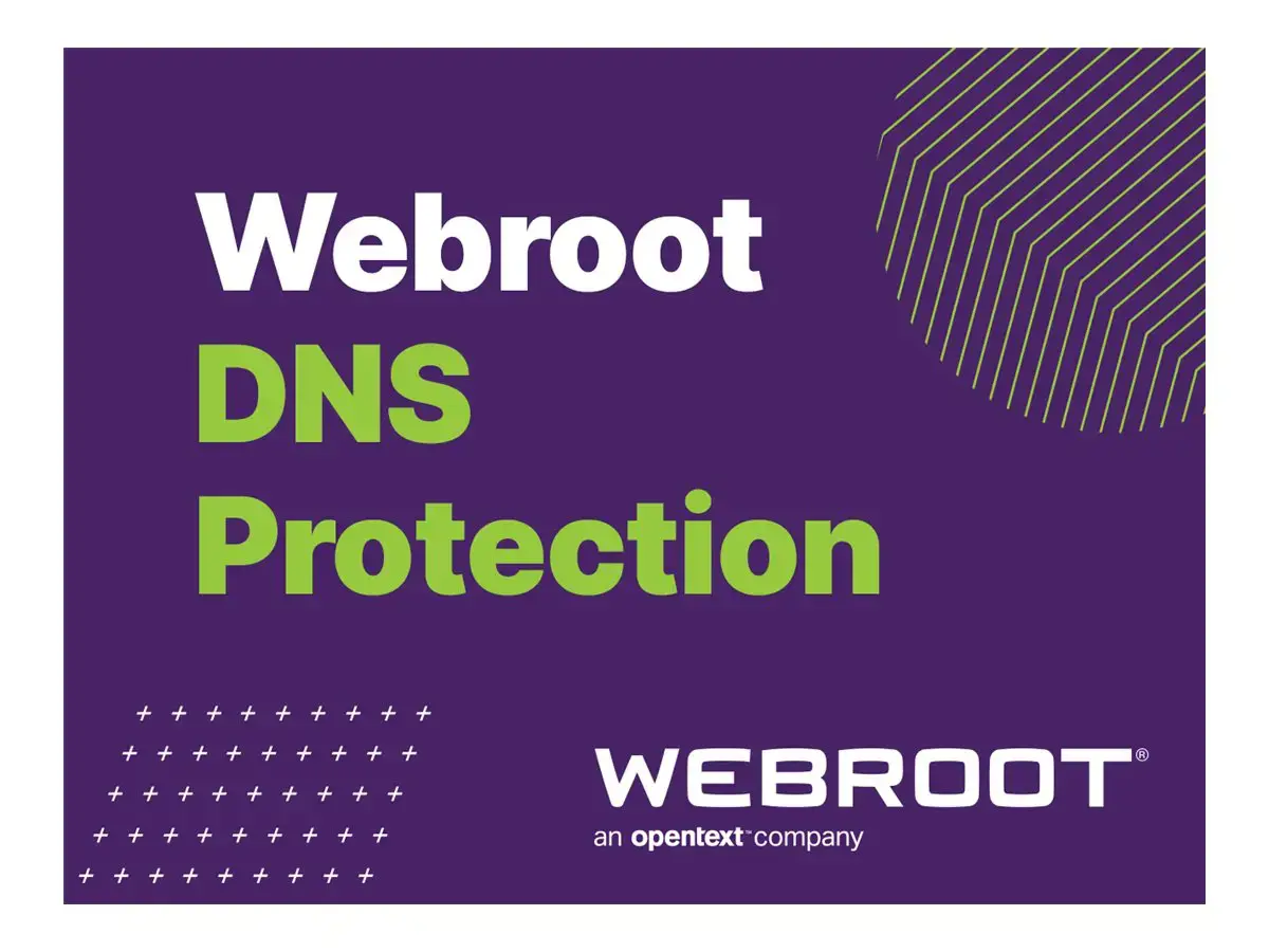 "Webroot DNS Protection with GSM Console", 1 metai, licencijų kiekis 10-99 naudotojų