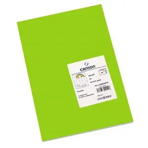 Kortelės Iris Fluor 297 x 420 mm, žalios spalvos 50 vnt.
