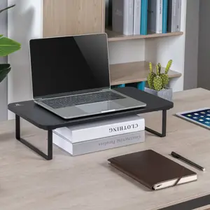 Ergonomiškas nešiojamojo kompiuterio monitoriaus stovas "Maclean MC-933