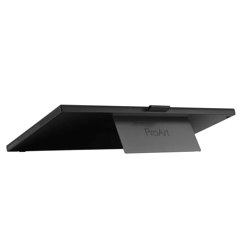 ASUS ProArt PA169CDV, 39.6 cm (15.6"), 3840 x 2160 pixels, 4K Ultra HD, LCD, 10 ms, Black