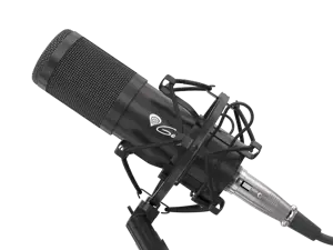 "NATEC Genesis" mikrofonas "Radium 300" studijinis XLR rankos popfilteris