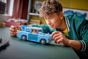 LEGO HARRY POTTER 76470 Enchanted Flying Ford Anglia