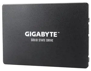 SSD diskas GIGABYTE GP-GSTFS31256GTND 256 GB, 2.5", Serial ATA III