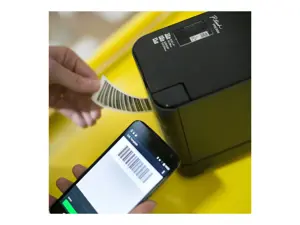 Brother PT-P950NW, TZe, terminio perdavimo, 360 x 360 DPI, 60 mm/s, laidinis ir belaidis, juodas