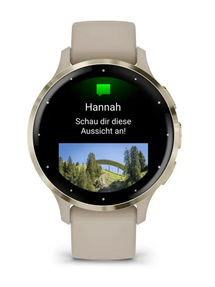 IŠMANUSIS LAIKRODIS VENU 3S/GRAY/GOLD 010-02785-02 GARMIN