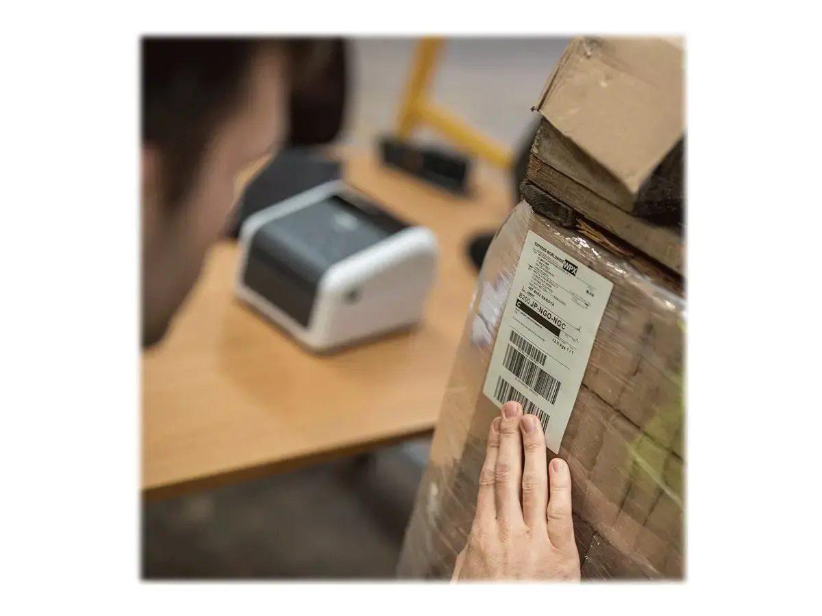 Brother TD-4420DN, tiesioginio terminio spausdinimo, 203 x 203 DPI, 203 mm/s, laidinis, pilkas, baltas