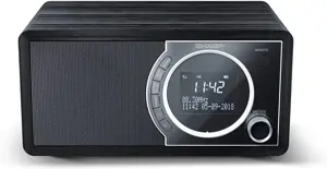 Sharp DR-450, asmeninis, skaitmeninis, DAB, DAB+, FM, 87,5 - 108 MHz, 174,928 - 239,2 MHz, 3 W