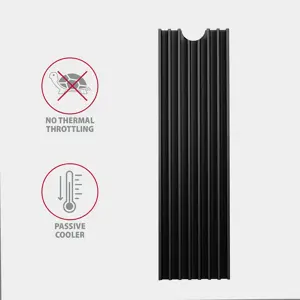 "AXAGON CLR-M2L6" pasyvusis - M.2 SSD, 80 mm SSD, ALU korpusas, silikoninės šiluminės pagalvėlės, aukštis 6 mm