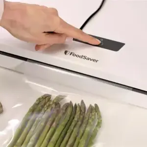 "FoodSaver VS0290X" vakuuminė sandarinimo mašina balta
