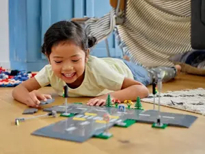 LEGO CITY 60304 ROAD PLATES