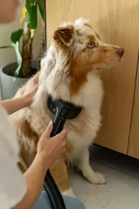 Gorenje Vacuum cleaner | SVC259449NDCO | Cordless operating | Handstick | 350 W | 25.9 V | Operating time (max) 60 min | Satin Copper