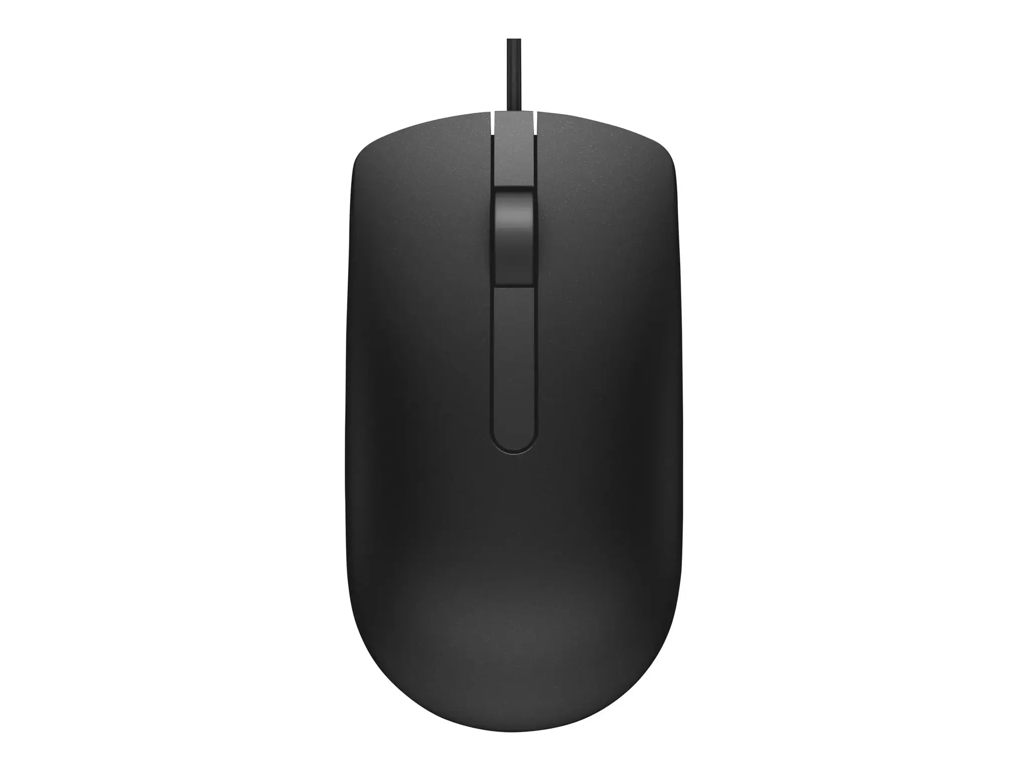 DELL MS116, dvipusis, optinis, USB Type-A, 1000 DPI, juodas