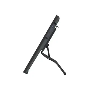 HUION Kamvas 24 Plus graphic tablet 5080 lpi 526,85 x 296,35 mm USB-C Black