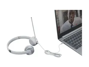 "Lenovo 100" stereofoninės analoginės ausinės, biuro / skambučių centras, ausinės, sidabrinės