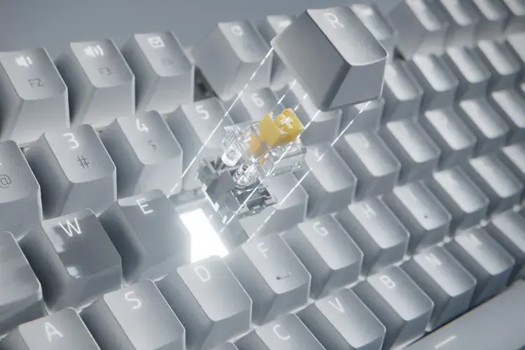 "Razer Pro Type Ultra" mechaninė klaviatūra, JAV išdėstymas, belaidė / laidinė, balta