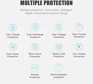 Platinet power bank 10000mAh PMPB10W705, baltos spalvos