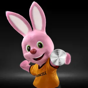 Baterijos DURACELL 2016, 2vnt.