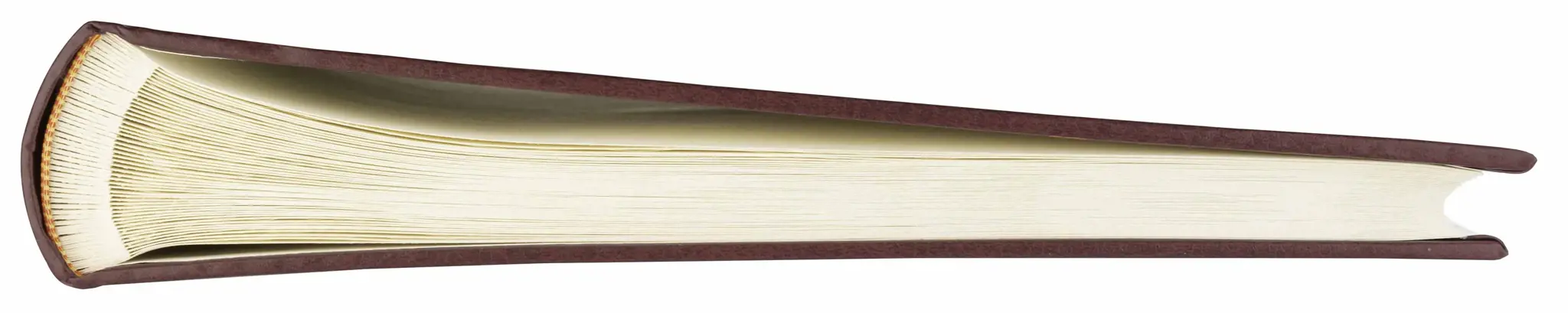 Albumas B100PG Classic Cream, rudos spalvos