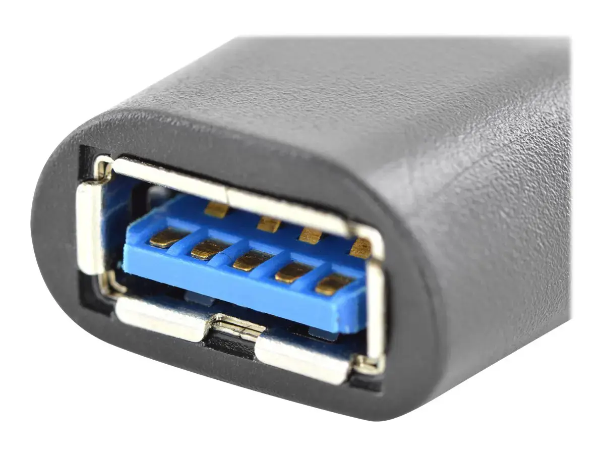ASSMANN C tipo USB adapteris iš C į A M/F Super-Speed bl