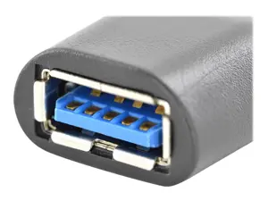 ASSMANN C tipo USB adapteris iš C į A M/F Super-Speed bl